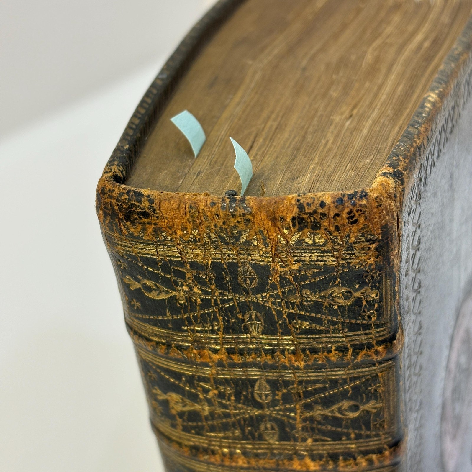 The Book of Common Prayer, And Administration of The Sacraments, and Other Rites and Ceremonies of The Church, According to the Use of The Church of England; Together with the Psalter or Psalms of David, Pointed as they are to be sung or said in Churches — photograph 5.