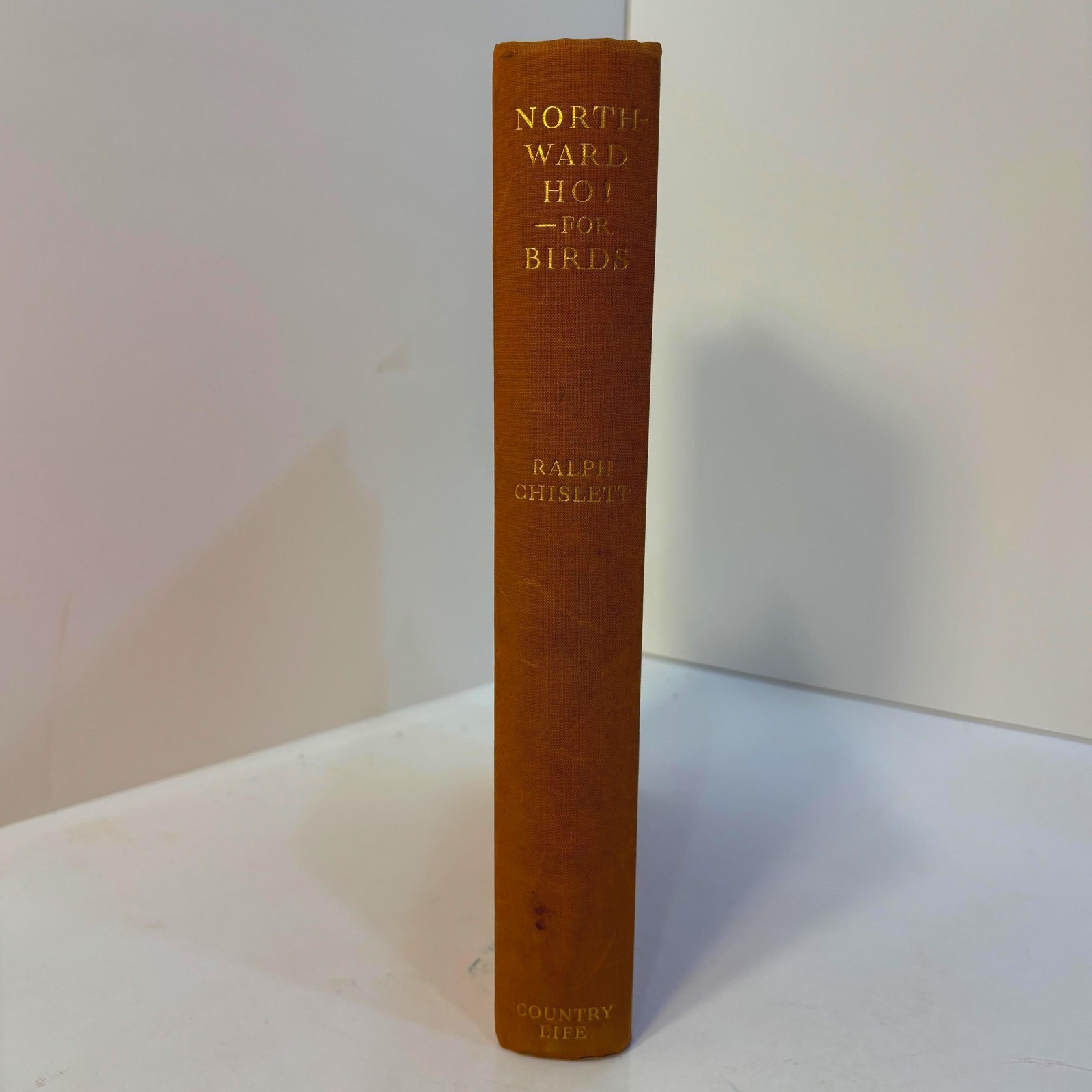 Northward Ho! - For Birds. From Wild Moorlands of England to Moorlands and Marshes of Scotland and Shetland Oland and Lapland. Illustrated with Photographs taken by the Author. — photograph 4.