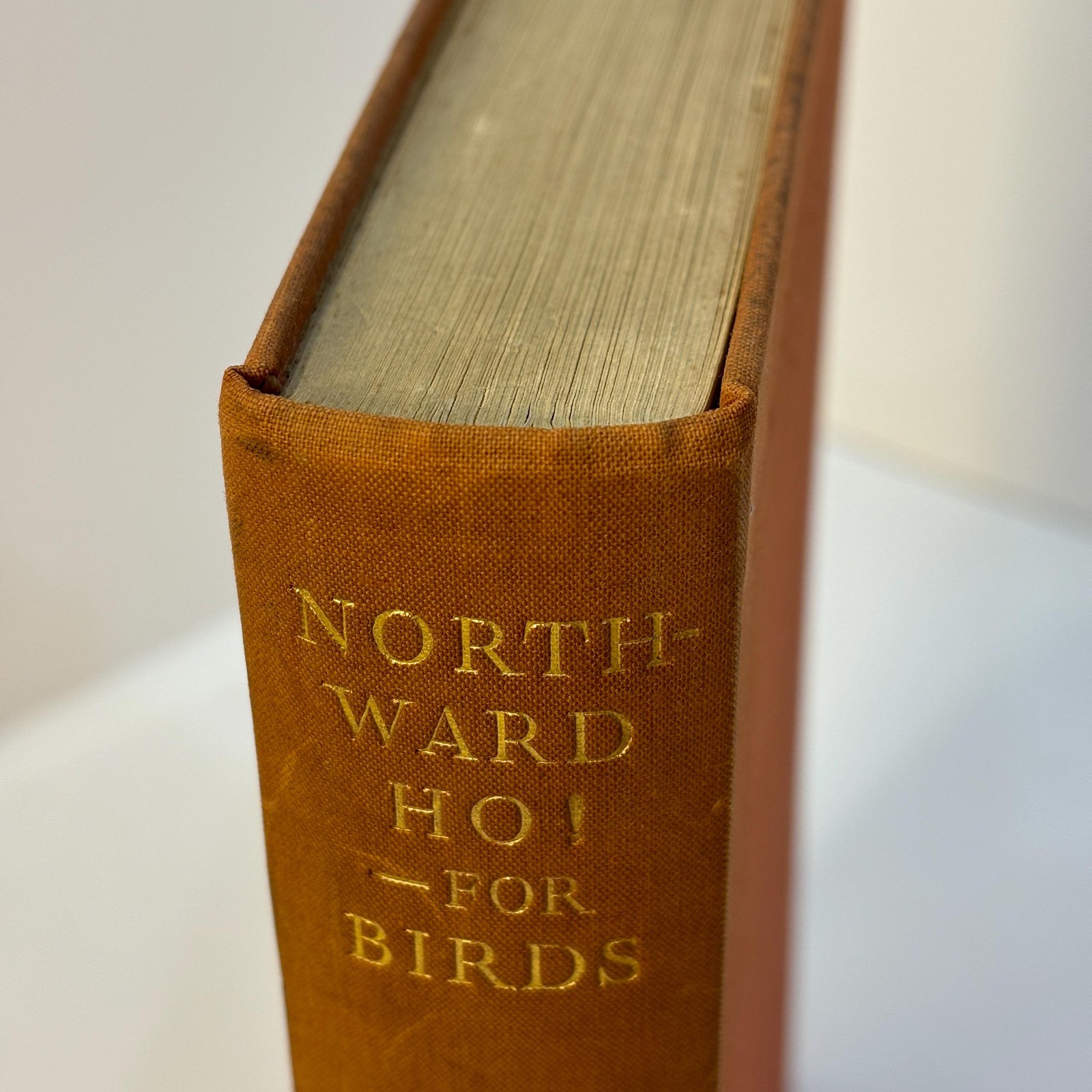 Northward Ho! - For Birds. From Wild Moorlands of England to Moorlands and Marshes of Scotland and Shetland Oland and Lapland. Illustrated with Photographs taken by the Author. — photograph 6.