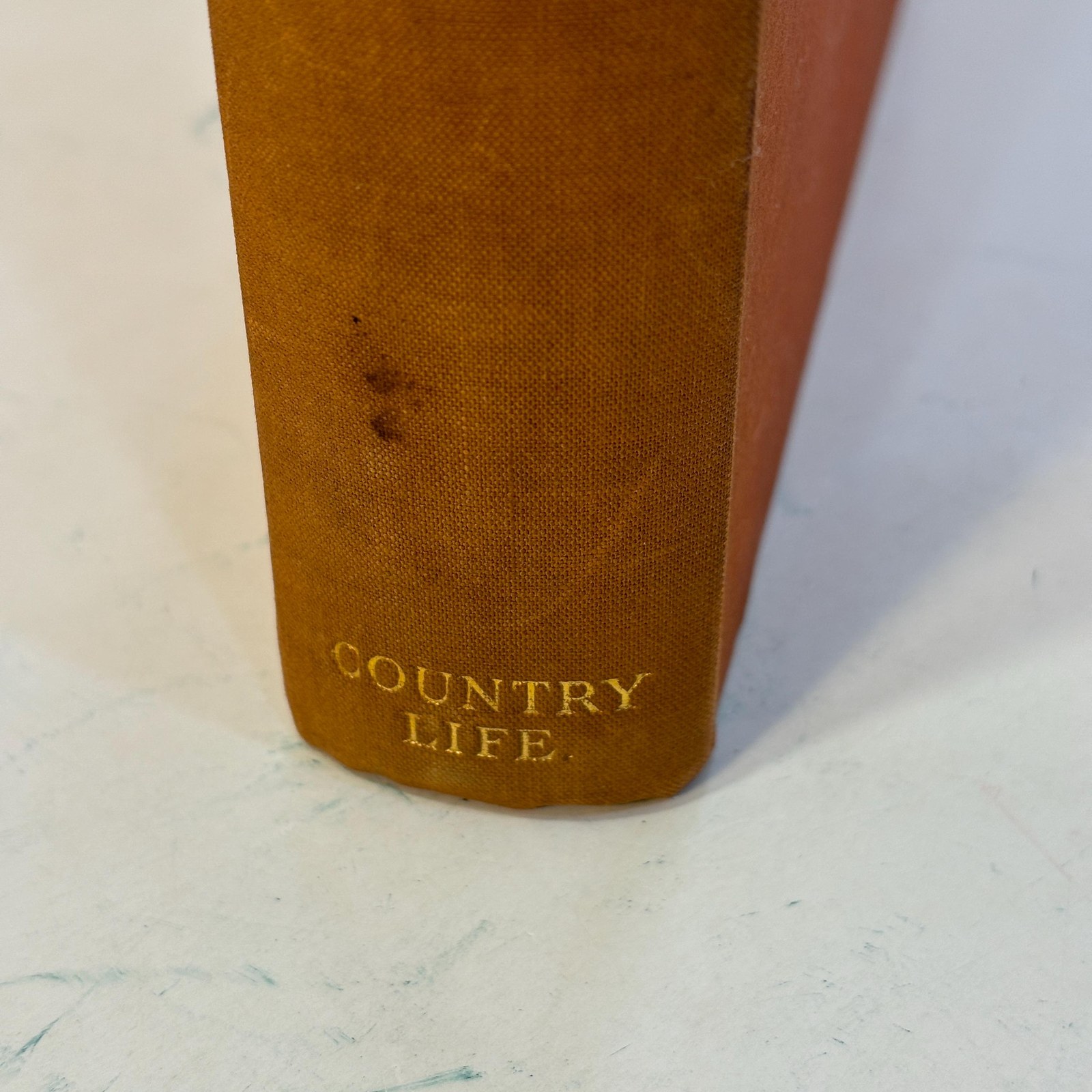 Northward Ho! - For Birds. From Wild Moorlands of England to Moorlands and Marshes of Scotland and Shetland Oland and Lapland. Illustrated with Photographs taken by the Author. — photograph 8.