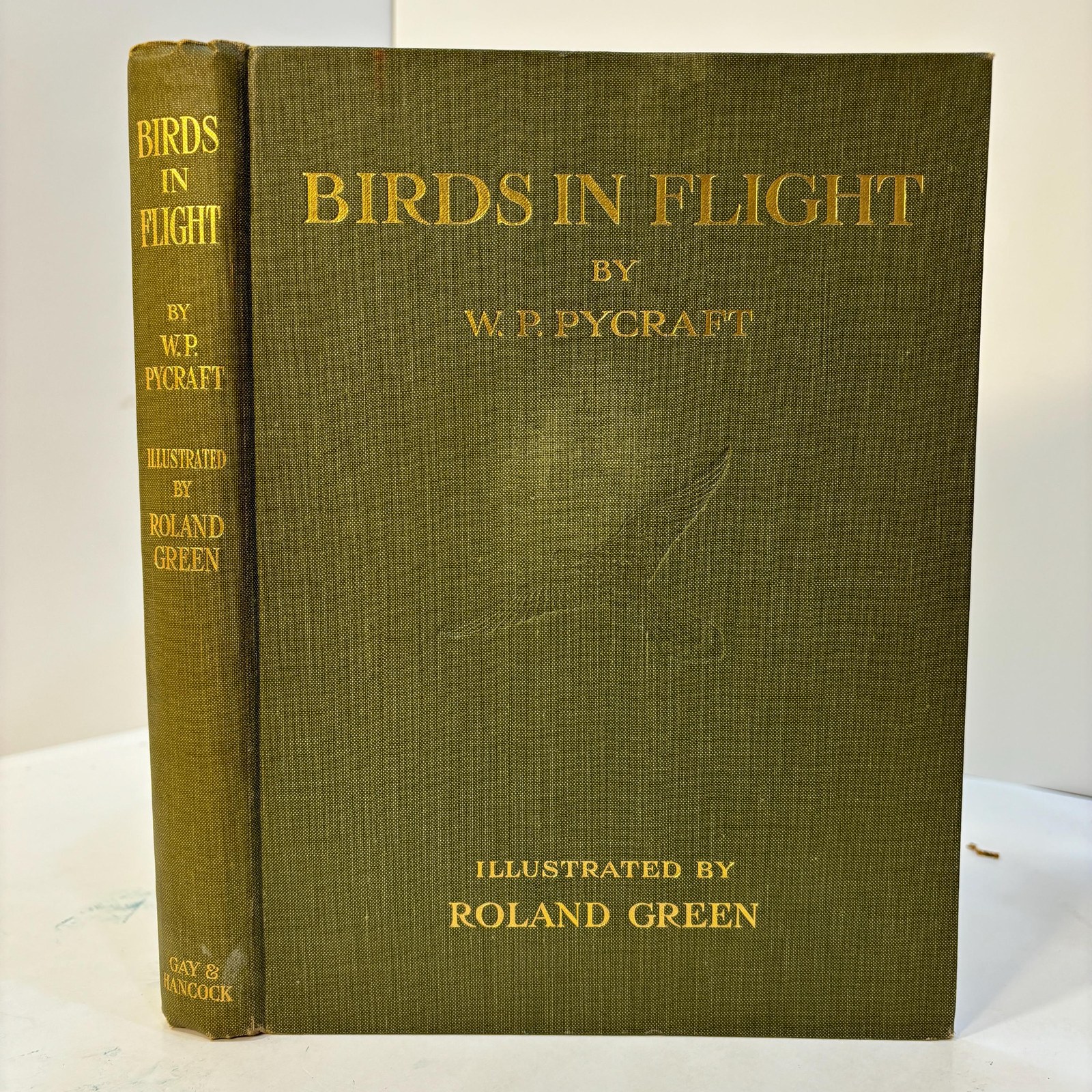 Birds In Flight. Illustrated by Roland Green — photograph 2.