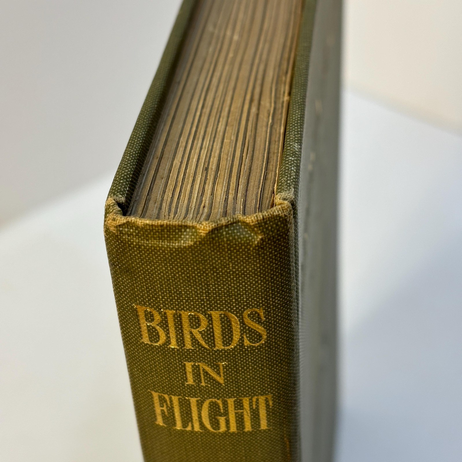 Birds In Flight. Illustrated by Roland Green — photograph 6.