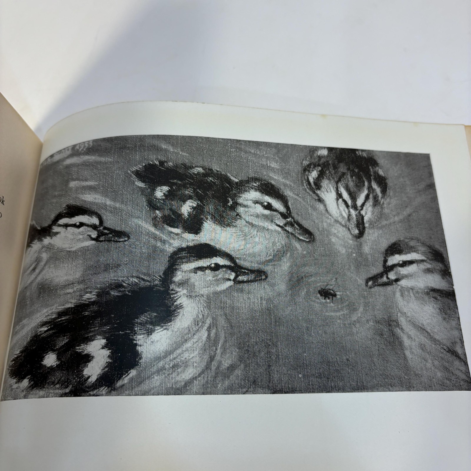 Morning Flight, A Book of Wildfowl — photograph 10.