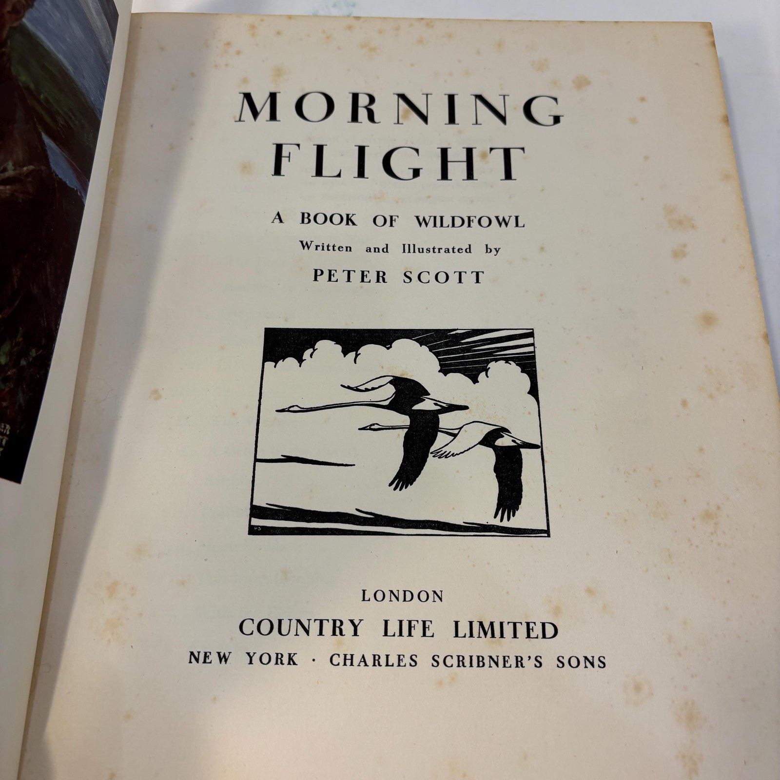 Morning Flight, A Book of Wildfowl — photograph 3.