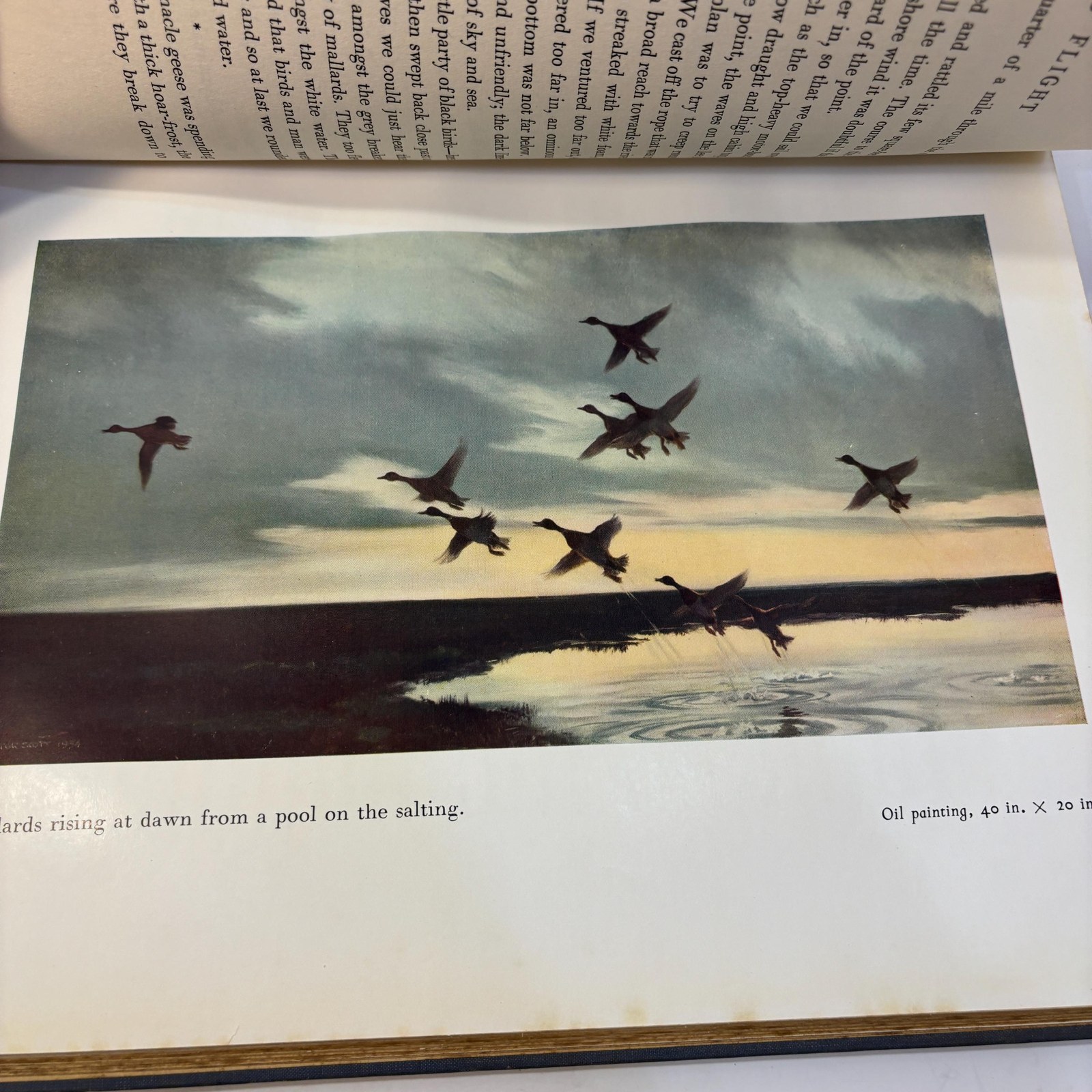 Morning Flight, A Book of Wildfowl — photograph 4.