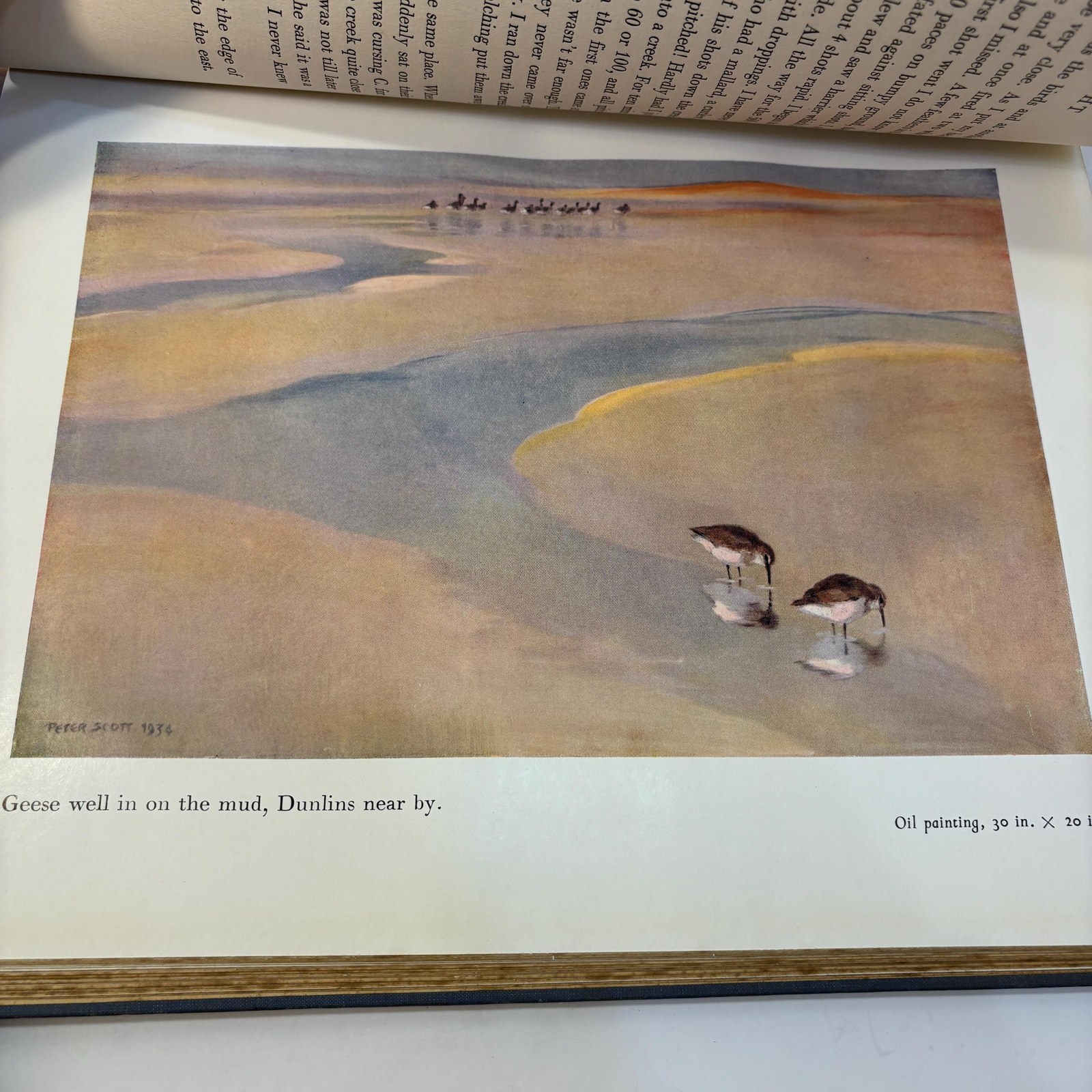 Morning Flight, A Book of Wildfowl — photograph 6.