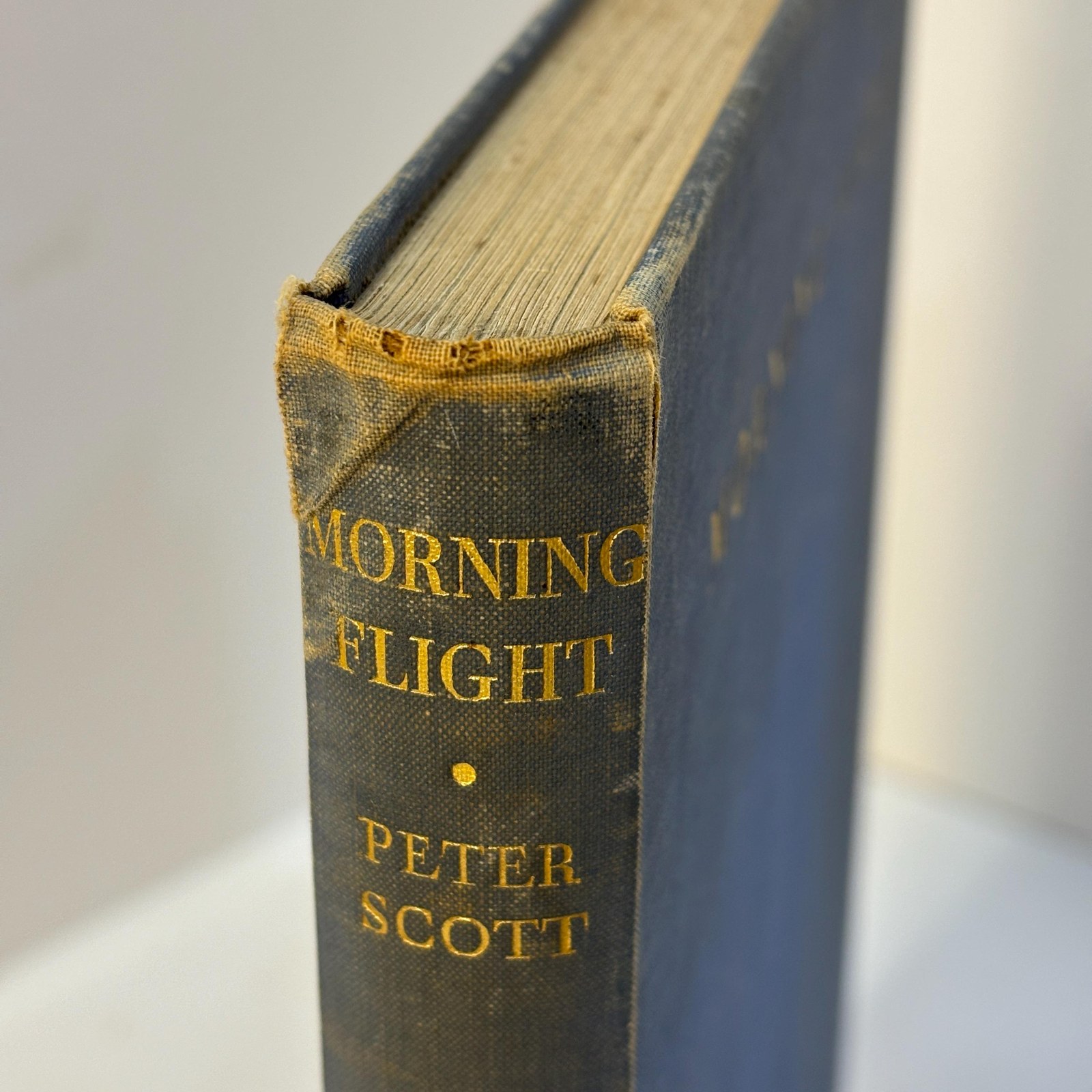 Morning Flight, A Book of Wildfowl — photograph 7.