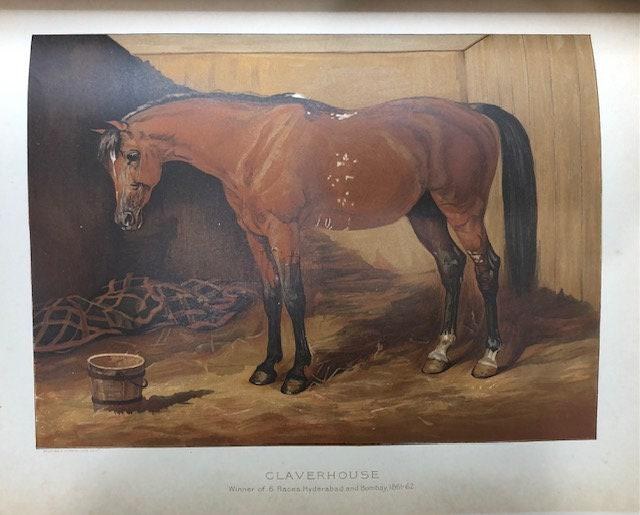 The Arabian Horse. His Country and People with Portraits of Typical or Famous Arabians — photograph 5.