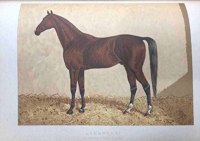 The Arabian Horse. His Country and People with Portraits of Typical or Famous Arabians — photograph 7.