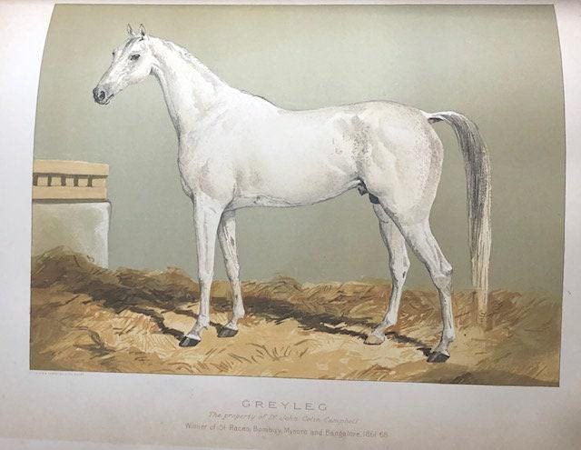 The Arabian Horse. His Country and People with Portraits of Typical or Famous Arabians — photograph 9.