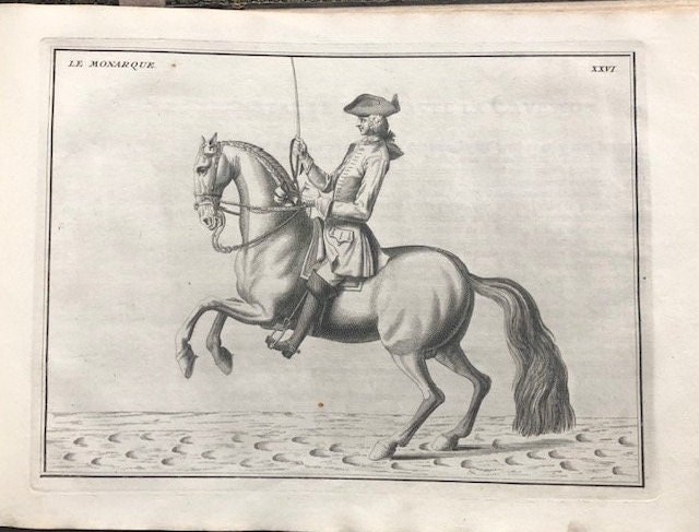 Description du Manége Moderne. Dans sa Perfection, Expliqué par des leçons necessaires, et representé par des figures exactes, depuis l'assiette de l'homme à cheval, jusqu'à l'arrest accompagné aussi de divers mords pour bien brider les chevaux, ecrit et dessiné par le baron D'Eisenberg, et gravé par B. Picart. TRANSLATION: "Description of Modern Horsemanship. In its Perfection, Explained through necessary lessons, and depicted by accurate figures, from the rider's position on horseback to the halt, also accompanied by various bits for properly bridling horses, written and illustrated by Baron D'Eisenberg, and engraved by B. Picart." — photograph 4.
