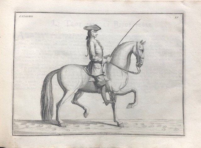 Description du Manége Moderne. Dans sa Perfection, Expliqué par des leçons necessaires, et representé par des figures exactes, depuis l'assiette de l'homme à cheval, jusqu'à l'arrest accompagné aussi de divers mords pour bien brider les chevaux, ecrit et dessiné par le baron D'Eisenberg, et gravé par B. Picart. TRANSLATION: "Description of Modern Horsemanship. In its Perfection, Explained through necessary lessons, and depicted by accurate figures, from the rider's position on horseback to the halt, also accompanied by various bits for properly bridling horses, written and illustrated by Baron D'Eisenberg, and engraved by B. Picart." — photograph 8.