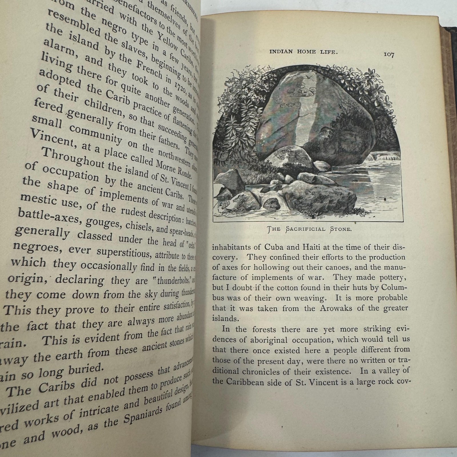 Camps in the Caribbees: The Adventures of a Naturalist in the Lesser Antilles — photograph 10.