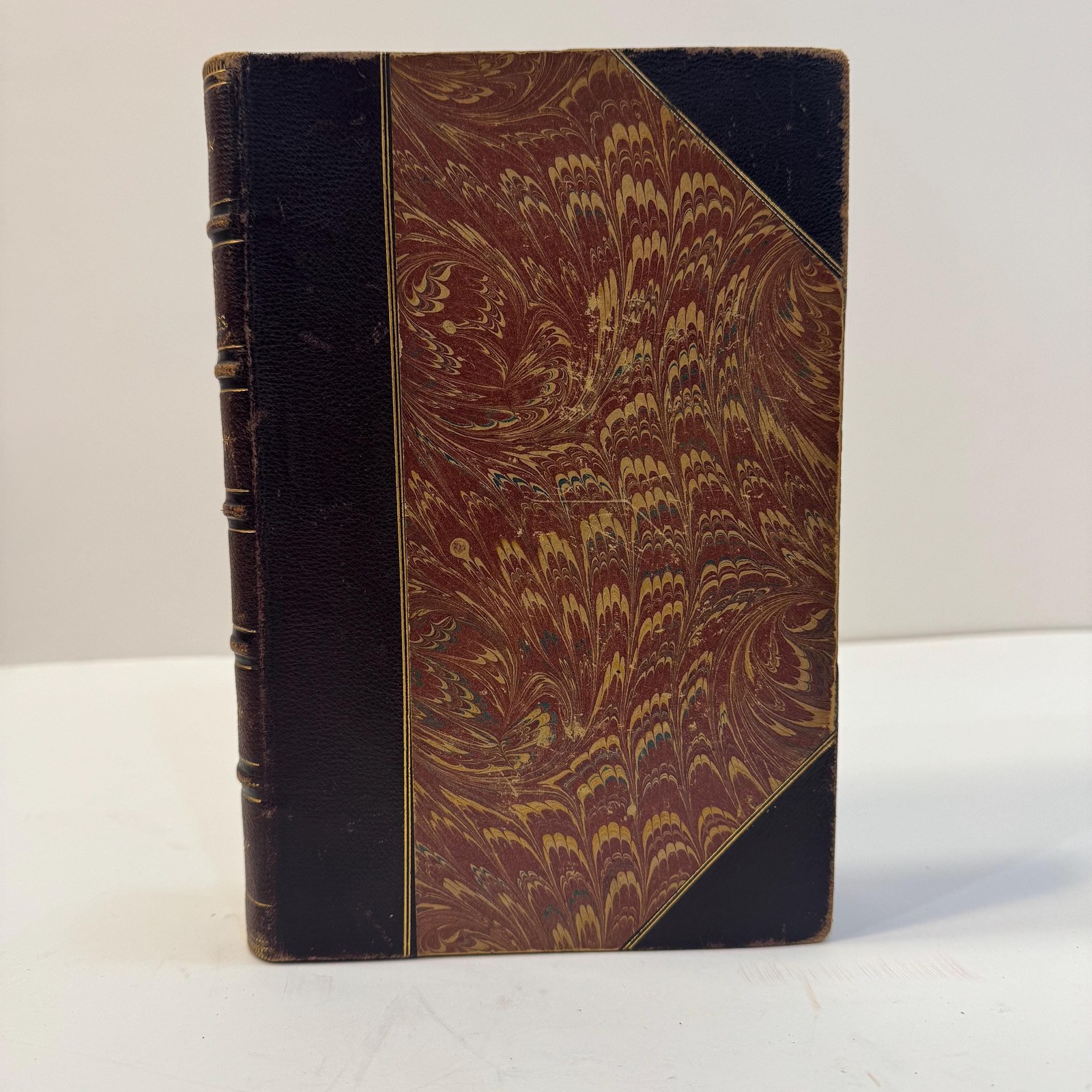Camps in the Caribbees: The Adventures of a Naturalist in the Lesser Antilles — photograph 2.