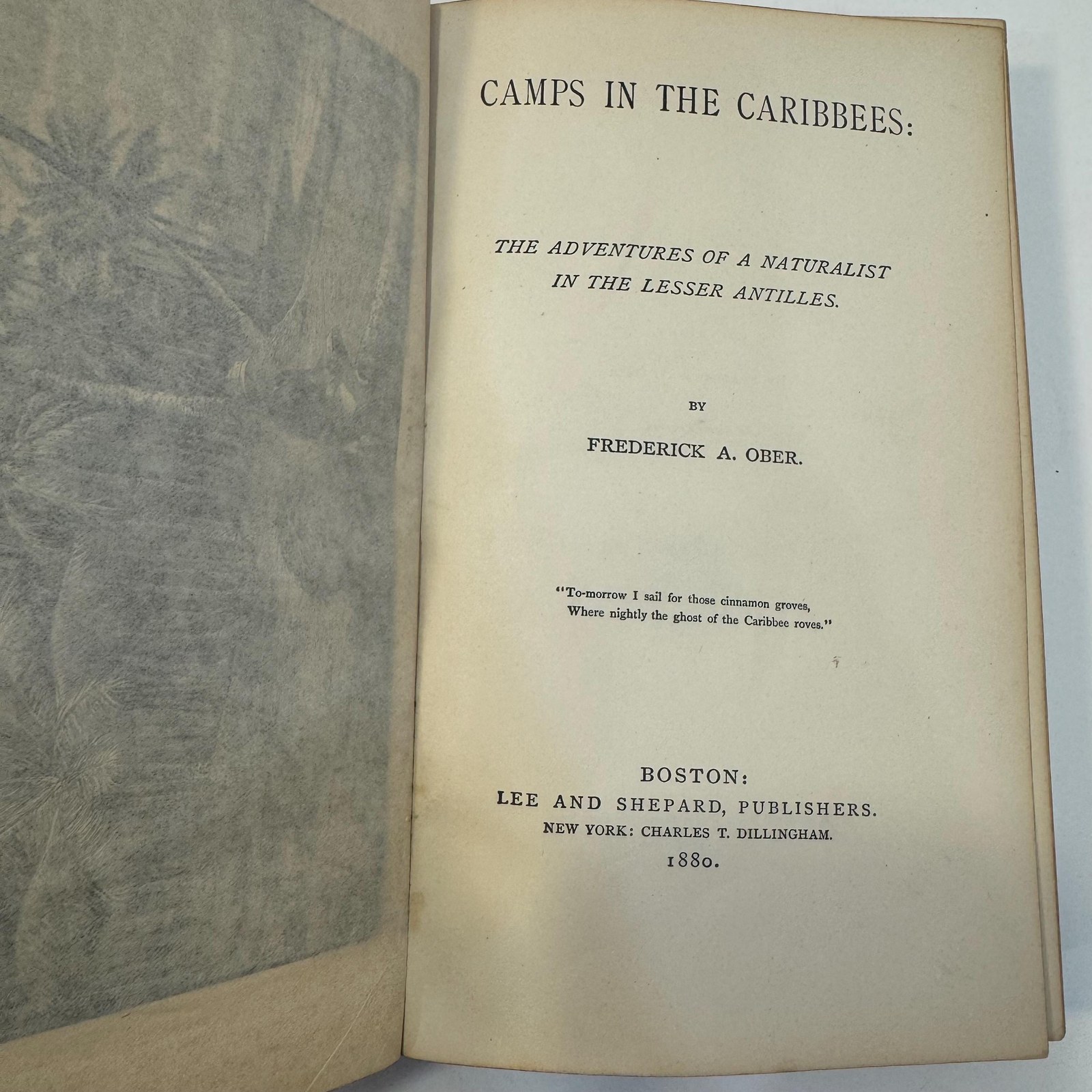 Camps in the Caribbees: The Adventures of a Naturalist in the Lesser Antilles — photograph 5.