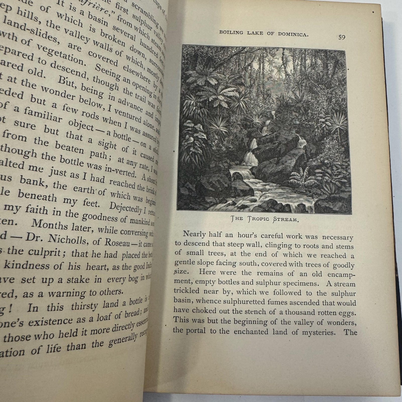 Camps in the Caribbees: The Adventures of a Naturalist in the Lesser Antilles — photograph 9.