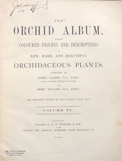 The Orchid Album, Comprising Coloured Figures and Descriptions of New, Rare, and Beautiful Orchidaceous Plants — photograph 3.