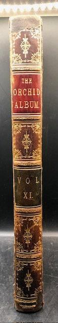 The Orchid Album, Comprising Coloured Figures and Descriptions of New, Rare, and Beautiful Orchidaceous Plants — photograph 4.