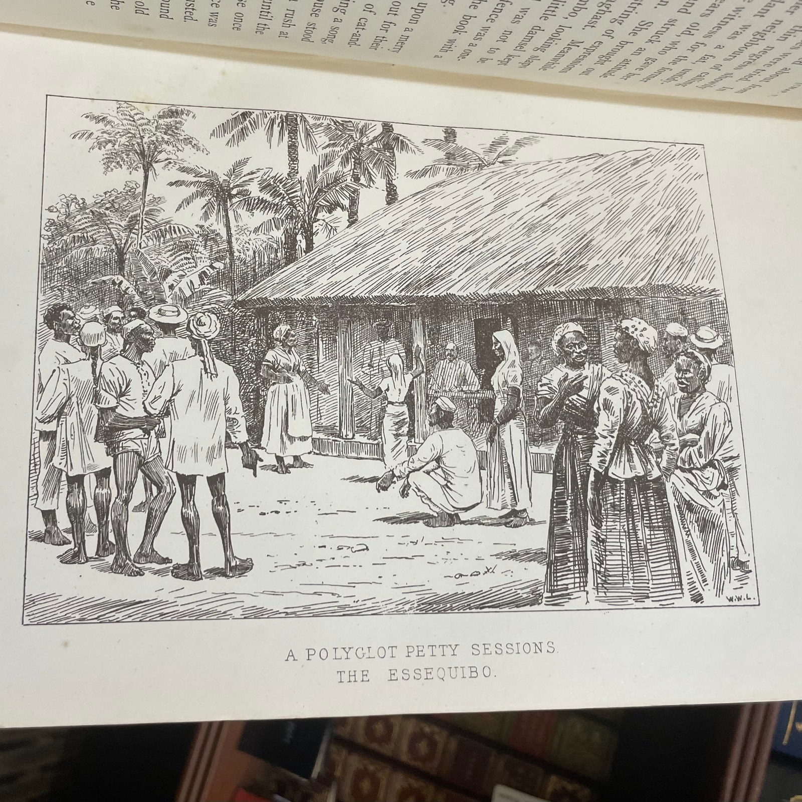 Adventures Amidst the Equatorial Forests and Rivers of South America; Also in the West Indies and the Wilds of Florida. To Which is Added "Jamaica Revisited" With Many Illustrations and Maps — photograph 10.