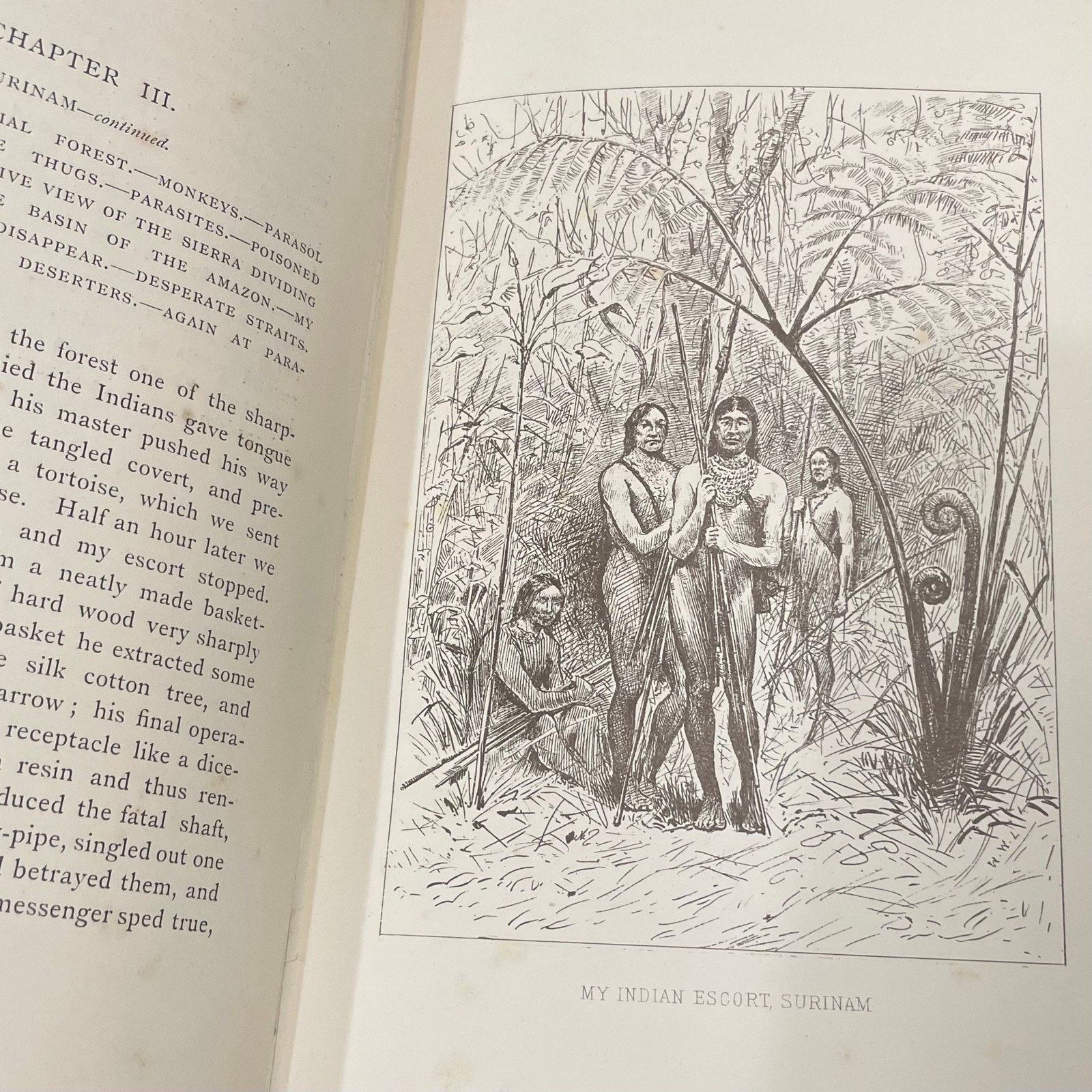 Adventures Amidst the Equatorial Forests and Rivers of South America; Also in the West Indies and the Wilds of Florida. To Which is Added "Jamaica Revisited" With Many Illustrations and Maps — photograph 3.