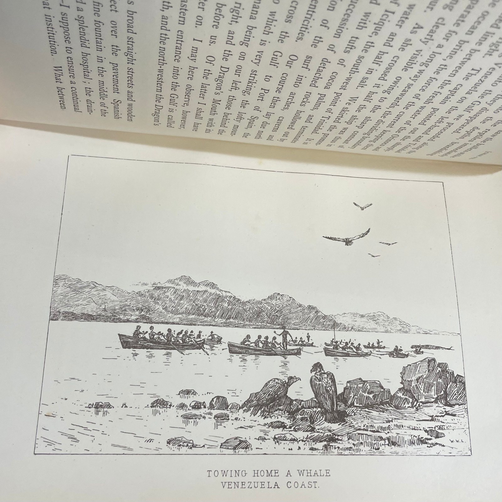 Adventures Amidst the Equatorial Forests and Rivers of South America; Also in the West Indies and the Wilds of Florida. To Which is Added "Jamaica Revisited" With Many Illustrations and Maps — photograph 4.