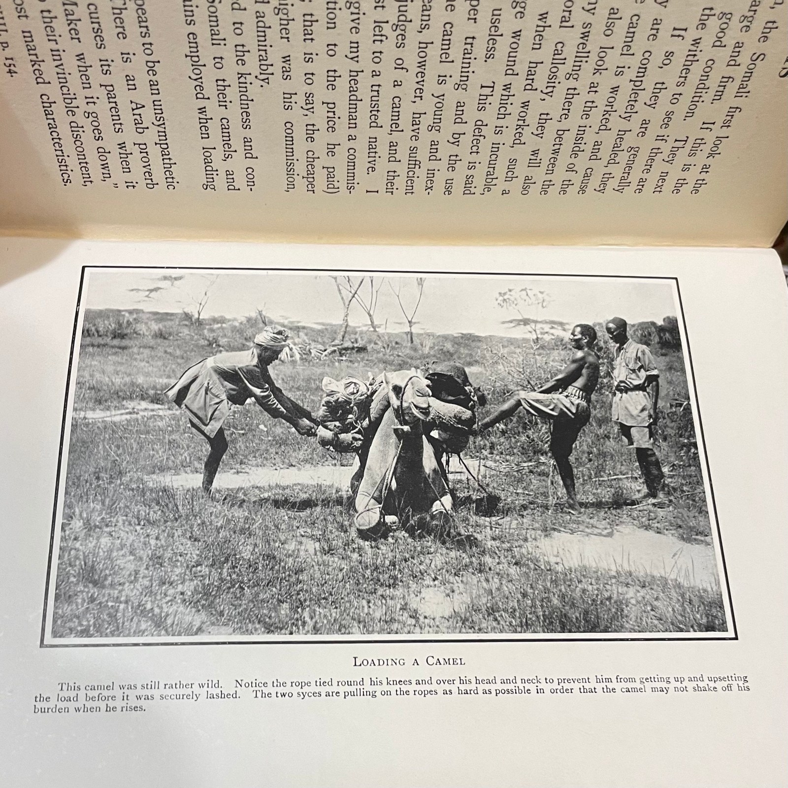 Through Jubaland toThe Lorian Swamp An Adventurous Journey of Exploration & Sport in The Unknown African Forests & Deserts of Jubaland to the Unexplored Lorian Swamp. With 44 Illustrations & 2 Maps — photograph 7.