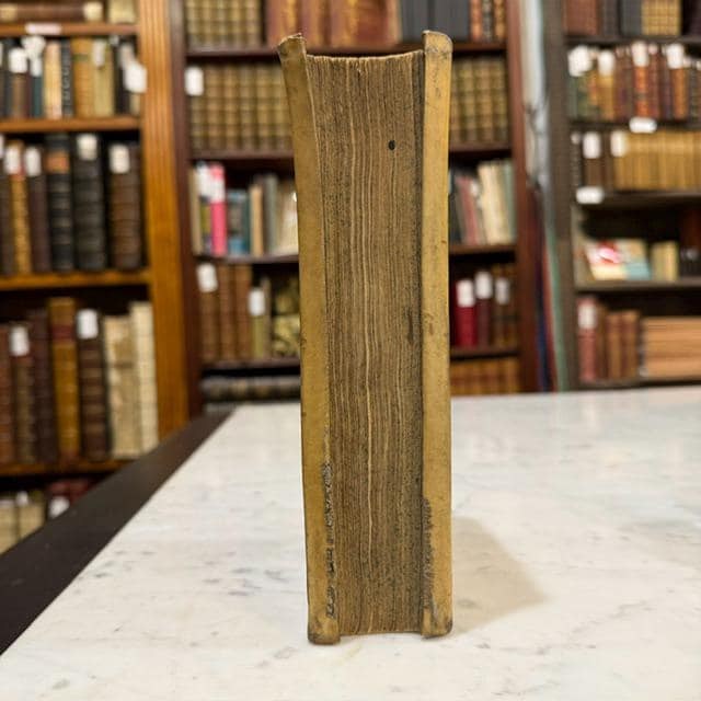 C. Sallustii Crispi Quae Extant Ex Recensione J.F. Gronoii Cum Variorum Observationibus Ab Ant. Thysio Collectis. Translated from Latin" The Works of C. Sallustius Crispus that Exist, From the Edition of J.F. Gronovius, With Various Observations Collected by Antonius Thysius" — photograph 4.