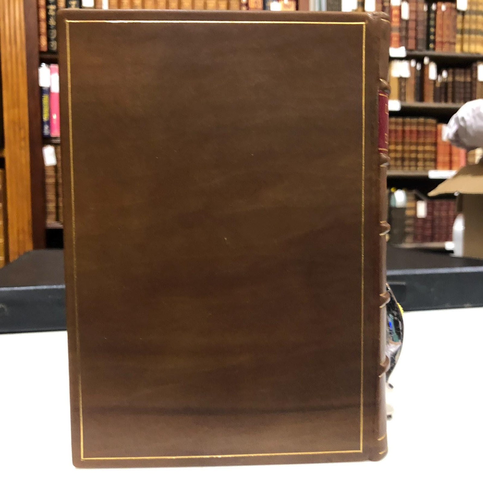 Special and Chosen Sermons of D. Martin Luther, collected out of his writings and preachings for the necessary instruction and edification of such, as hunger and seeke after the perfect knowledge and inestimable glorie which is in Christ Jesu, to the comfort and salvation of their soules. Englished by W.G. — photograph 4.