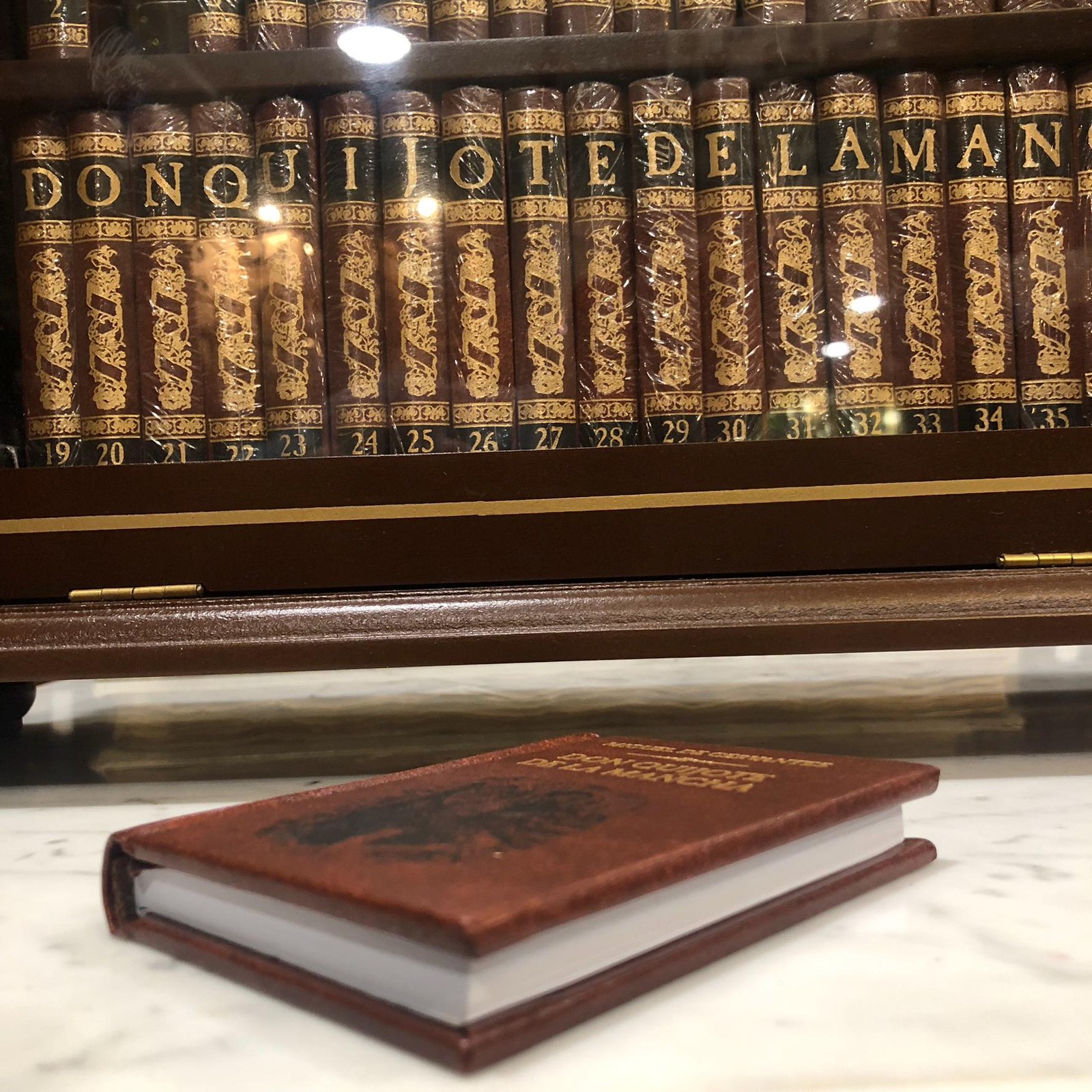 El Ingenioso Hidalgo Don Quijote de la Mancha in pressed wood display case — photograph 7.