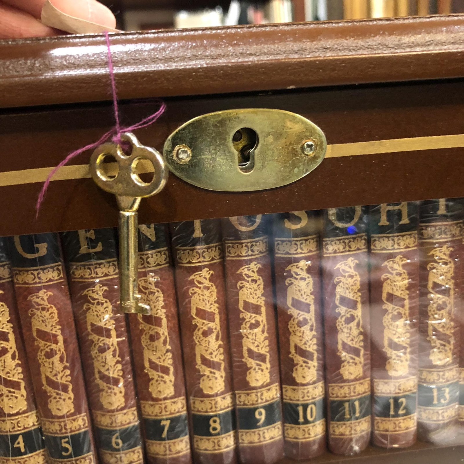 El Ingenioso Hidalgo Don Quijote de la Mancha in pressed wood display case — photograph 9.