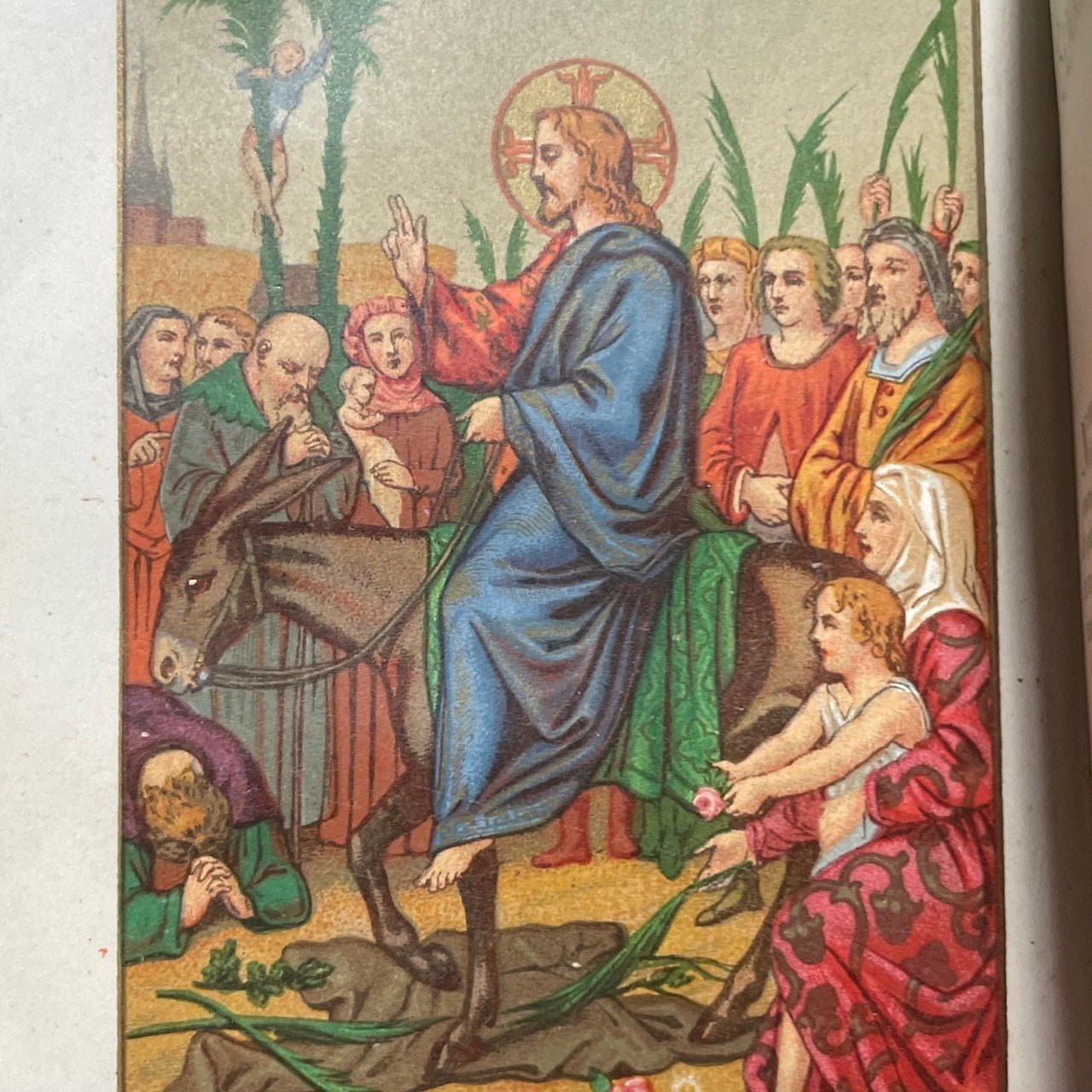 Novisimo Eucologio Romano Devocionario Completo Compuesto Y Arreglado Segun El Breviario Y Misal... Aprobado Por La Autoridad Eclesiastica Y De Su Orden Revisado Por D. Jose M. Rodriguez, Pro. 4th edicion aumentada y corregida Por D. Senen Garcio Frutos. Translated from Spanish: The Newest Roman Euchologion Complete Devotional Composed and Arranged According to the Breviary and Missal... Approved by Ecclesiastical Authority and of Its Order Reviewed by Mr. José M. Rodríguez, Pro. 4th Edition Augmented and Corrected by Mr. Senen Garcio Frutos. — photograph 6.