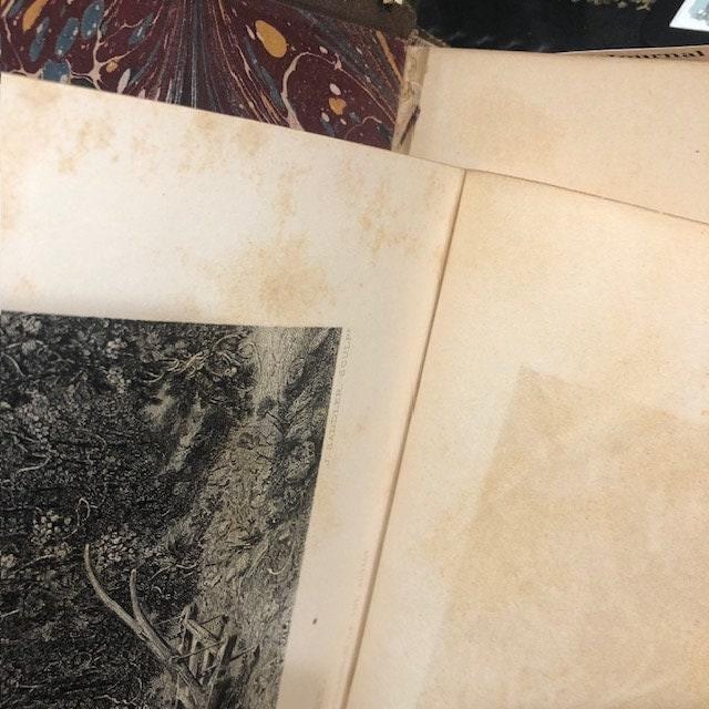 The Art Journal. Vol. VI. New Series. — photograph 10.