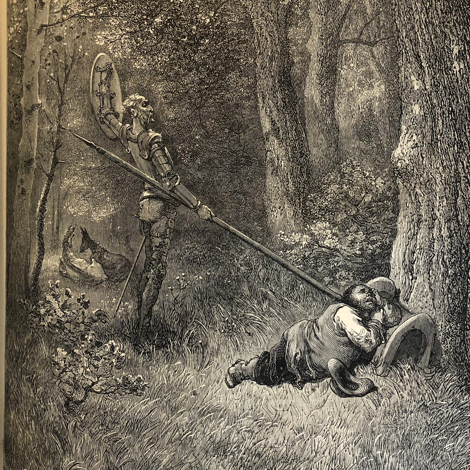 The History of Don Quixote. By Cervantes. And a Biographical Notice of Cervantes, by T. Teignmouth Shore, M.A. Illustrated by Gustave Dore. — photograph 10.