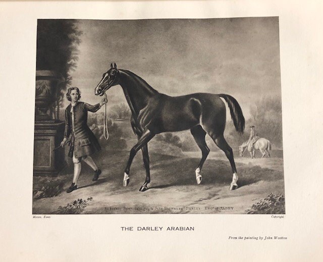 RACING AT HOME AND ABROAD. 1).British Flat Racing and Breeding, British Steeple Chasing and 2) Racing in Ireland and Racing and 3) Breeding in America and the Colonies. — photograph 5.