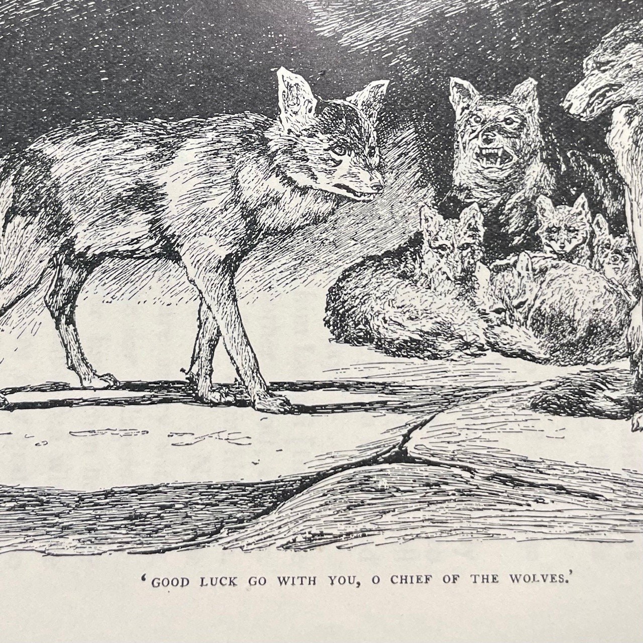 The Two Jungle Books, With Illustrations by J. Lockwood Kipling and W.H. Drake. Signed Binding by Sangorski & Sutcliffe — photograph 8.