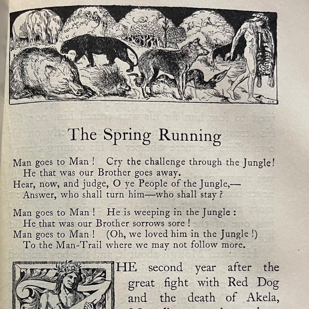 The Two Jungle Books, With Illustrations by J. Lockwood Kipling and W.H. Drake. Signed Binding by Sangorski & Sutcliffe — photograph 9.
