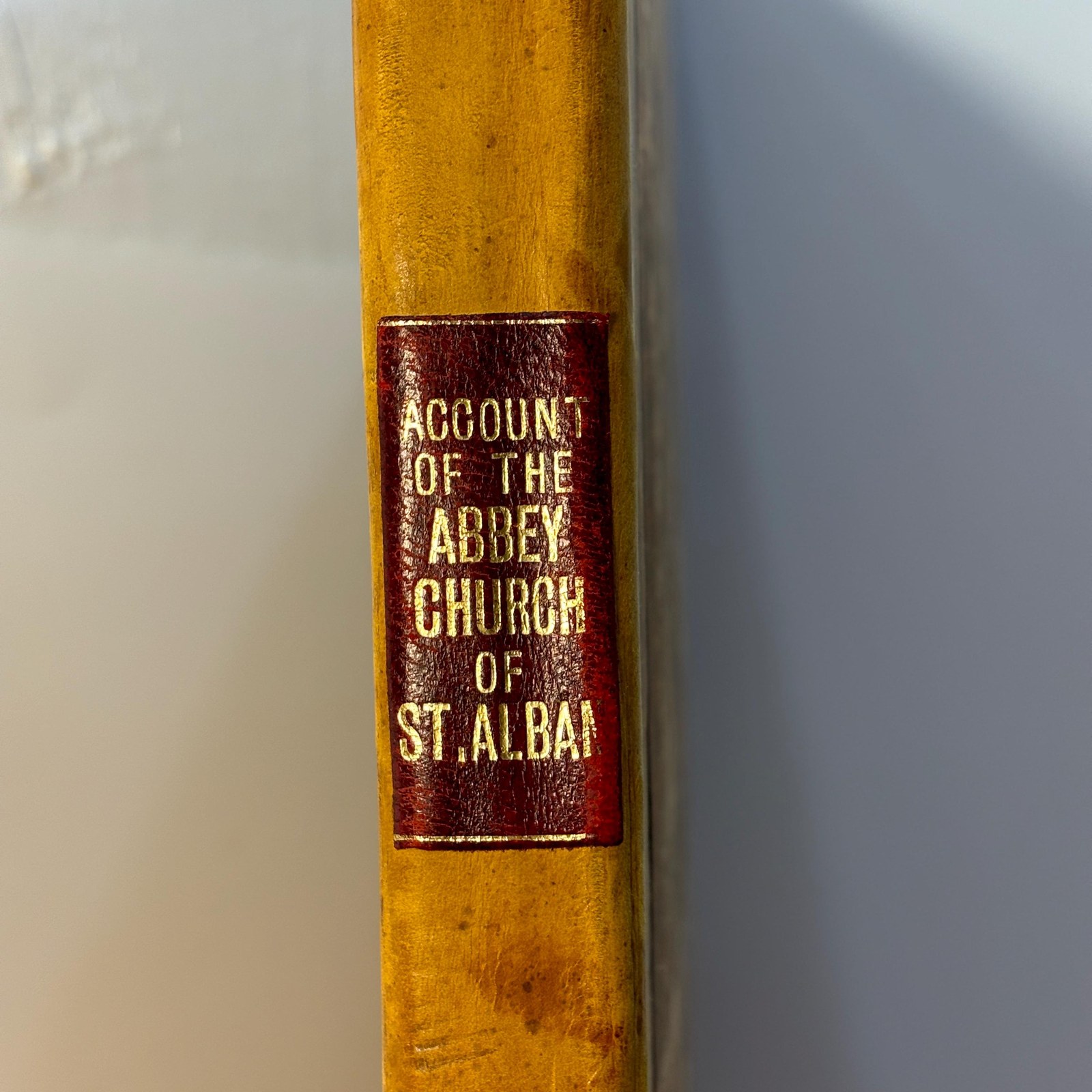 Some Account of The Abbey Church of St. Alban. Illustrative of the Plans, Elevations, and Sections, of That Building. Plans, Elevtions, Sections and Specimens of The Architecture and Ornments of The Abbey church at St. Albans — photograph 5.