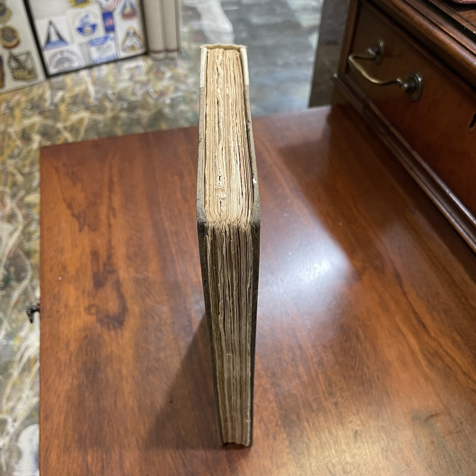 A Persian Pearl and Other Essays. Inscribed by author. — photograph 8.