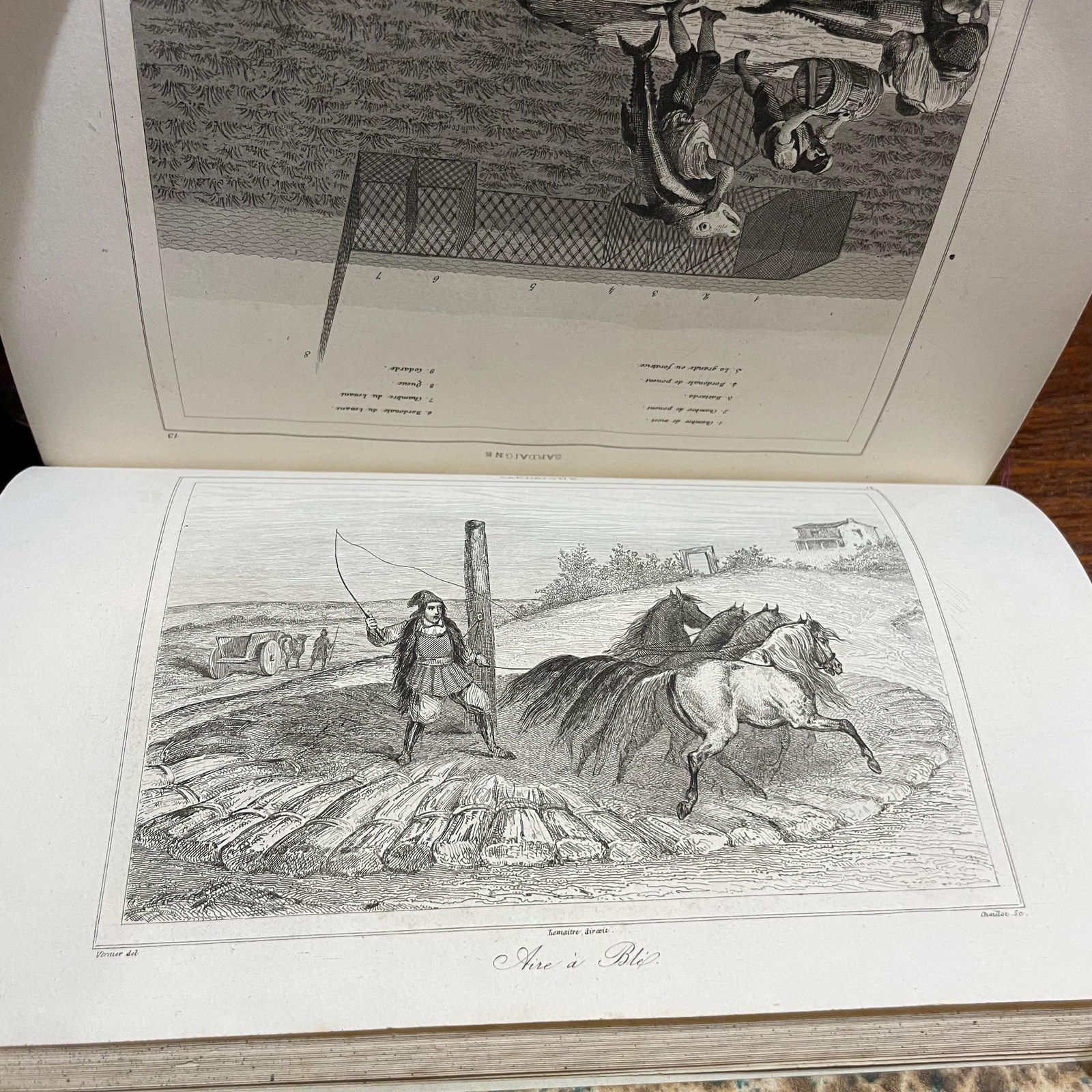 Histoire Et Description De Iles De L'Ocean. ---AND -- L'Univers, ou Histoire Et Description De Tous Les Peuples, De Leurs Religions, Moeurs, Coutumes, Etc.. Iles Madagascar, Bourbon et Maurice, Par M. Victor Charlier & Regions Circompolaires, Par M. Frederic LaCroix ---AND--- Ile De Sardaigne par M. Le Cevalier G. De-Gregory. ---AND--- L'Univers, ou Histoire Et Description De Tous Les Peuples, De Leurs Religions, Moeurs, Coutumes, Etc. Alger, Par M.P. Rozet. Translated from French: History and Description of the Islands of the Ocean ---AND--- The Universe, or History and Description of All Peoples, Their Religions, Customs, Habits, etc.---AND--- Islands of Madagascar, Bourbon, and Mauritius, by Mr. Victor Charlier & Circumpolar Regions, by Mr. Frederic LaCroix ---AND---Island of Sardinia by Mr. Chevalier G. De-Gregory---AND--- The Universe, or History and Description of All Peoples, Their Religions, Customs, Habits, etc. Algiers, by Mr. P. Rozet — photograph 10.