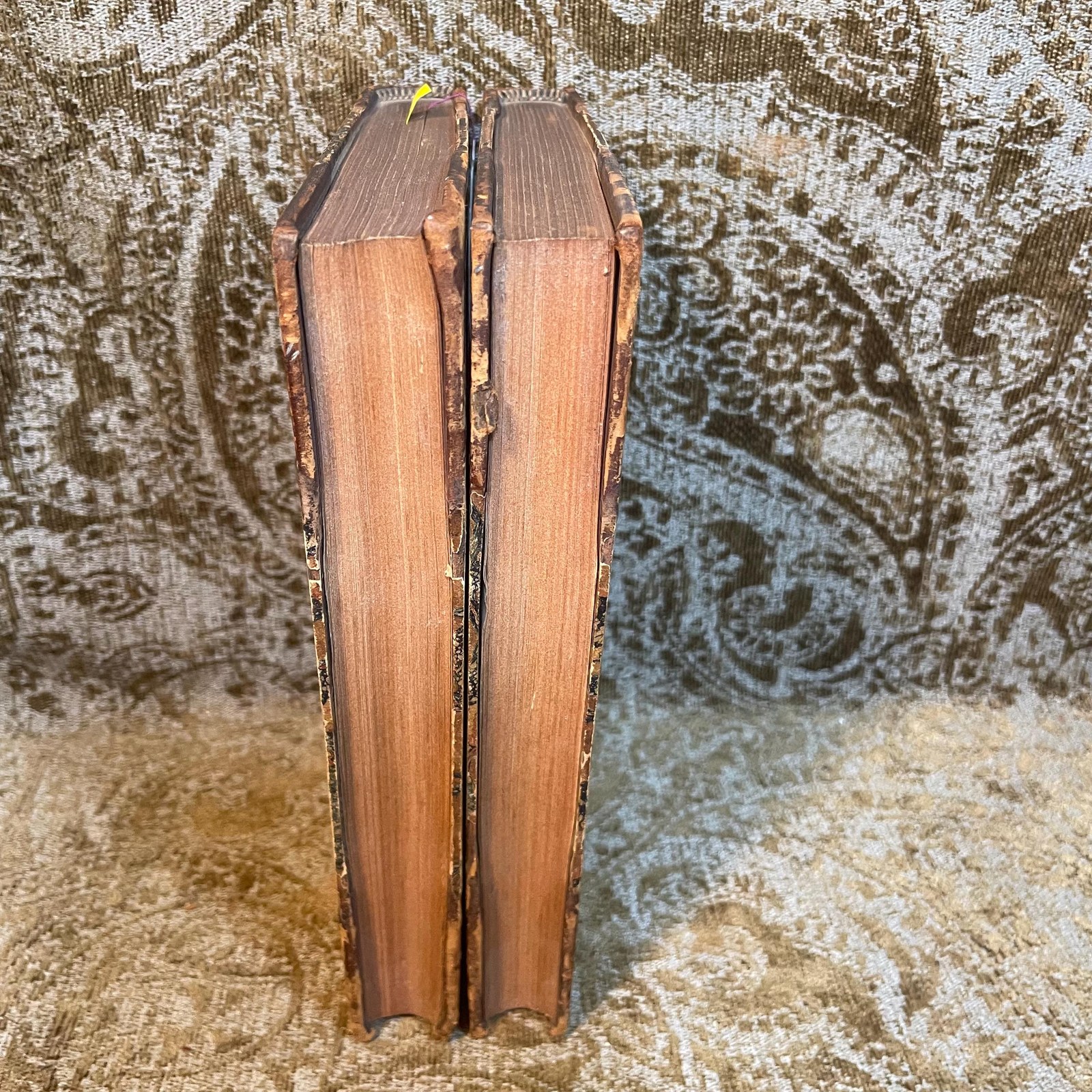 The False Step. And The Sisters. In Three Volumes (2 of 3, lacking Vol.I) — photograph 2.