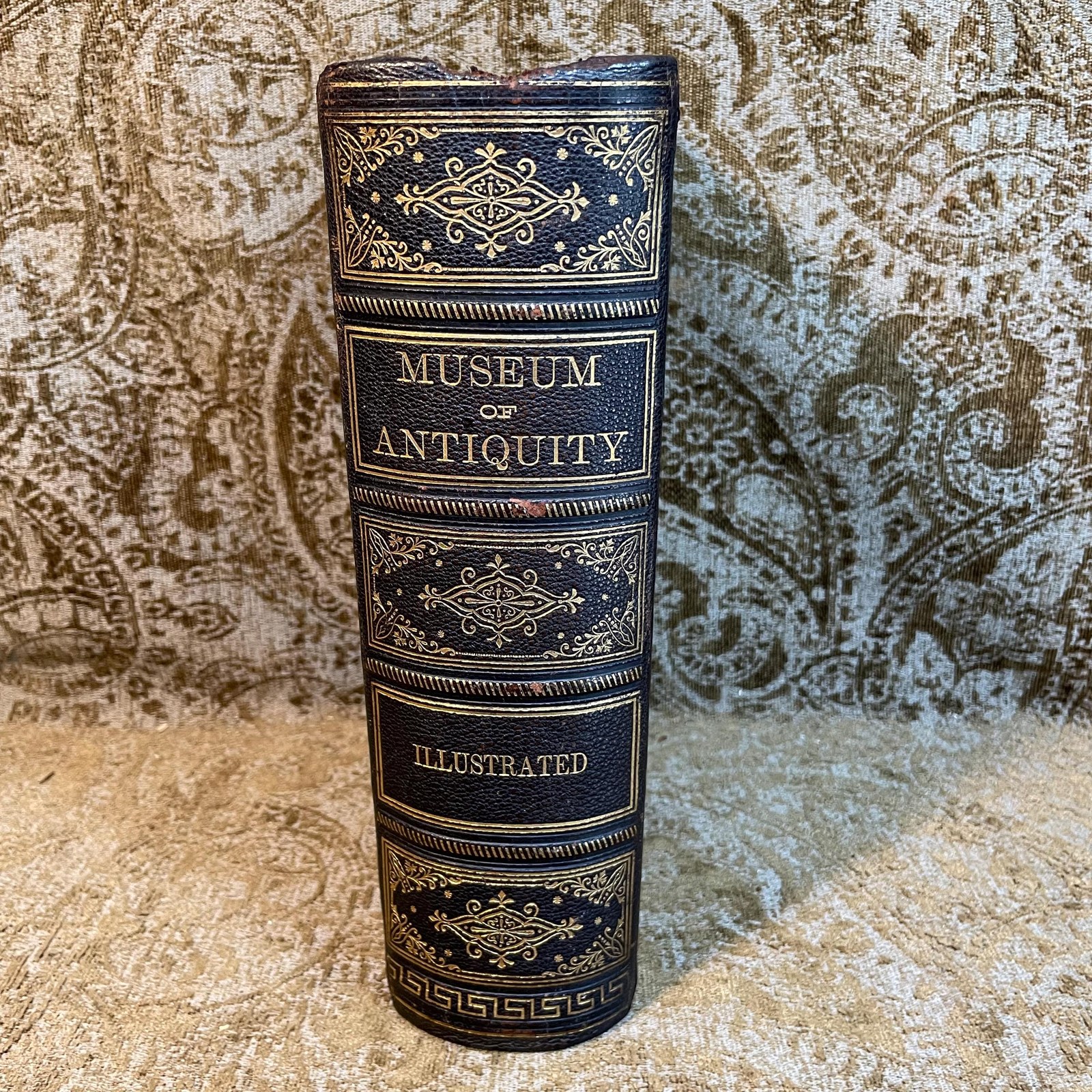 Museum of Antiquity A Description of Ancient Life: The Employments, Amusements, Customs and Habits, The Cities, Palaces, Monuments and Tombs, The Literature and Fine Arts of 3,000 Years Ago. Illustrated. — photograph 3.
