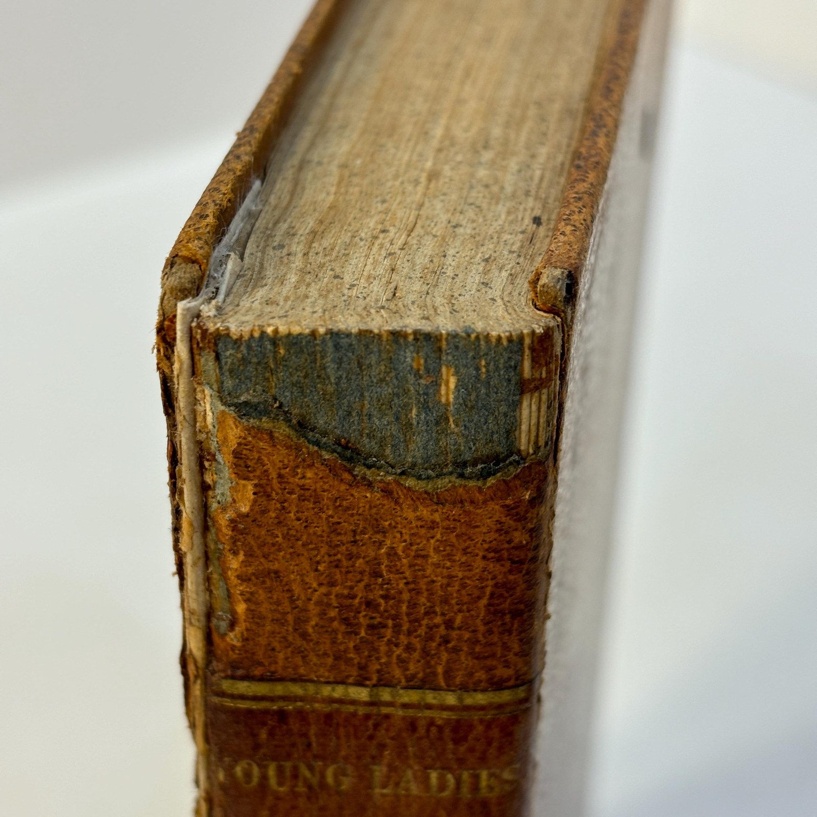 The Young Ladies' Class Book; A Selection of Lessons For Reading, in Prose and Verse. Twenty-Third Stereotype Edition — photograph 7.