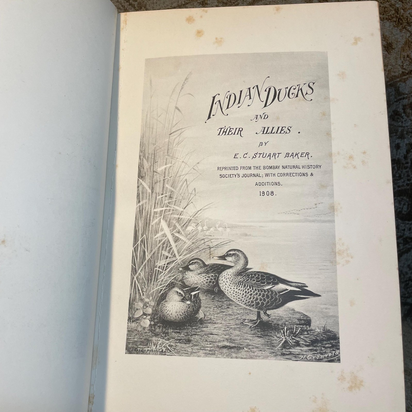 The Indian Ducks and Their Alies. With 30 Coloured Plates by H. Gronvold, G.E. Lodge, and J.G. Keulemans. Edition Limited To 1200 Copies. — photograph 4.