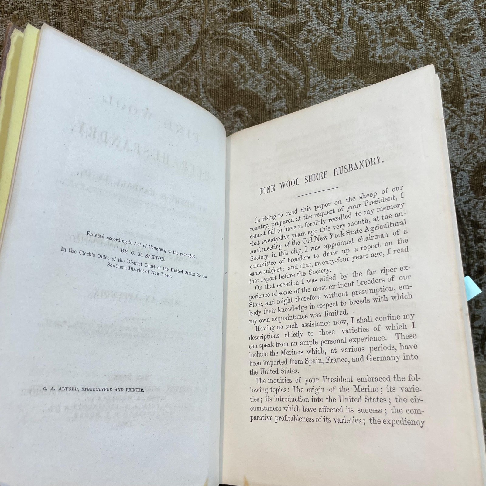 Fine Wool Sheep Husbandry. Read Before The New York State Agricultural Society, February 12th, 1862. With an Appendix, Containing Valuable Statistics in Reference to Wool Culture, Imports, Prices of Fine Wool From 1840 to August 1st 1863, Etc. — photograph 5.