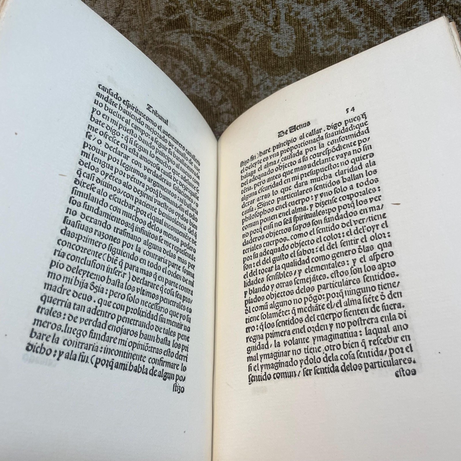 Escriva. Veneris Tribunal. Translated: The Tribunal of All Ages and Genders. — photograph 10.