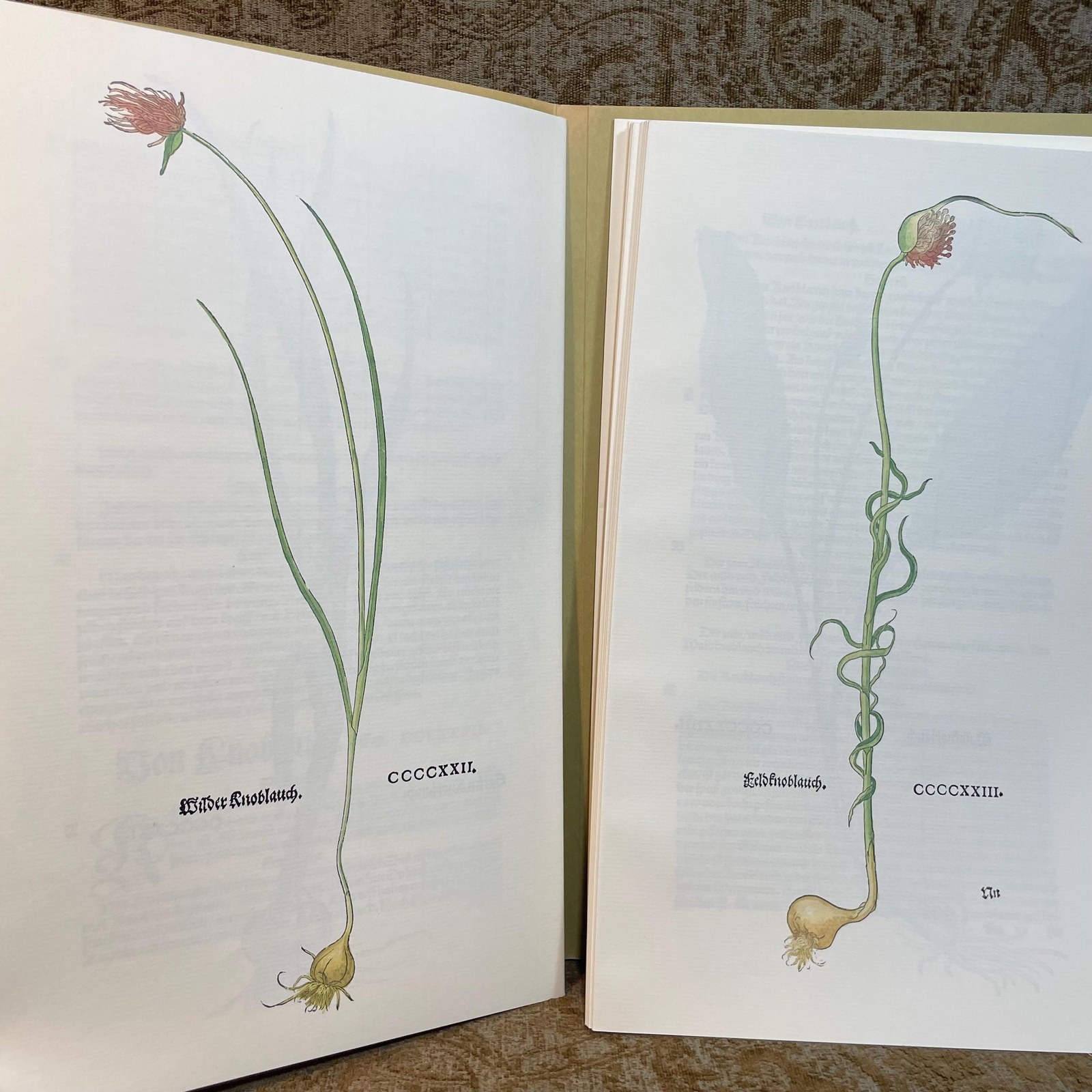 New Kreuterbuch Im Jar MDXLIII, Dokumentation zur Faksimileausgabe. Translated: New Herbal Book in the Year 1543, Documentation for the Facsimile Edition. — photograph 2.