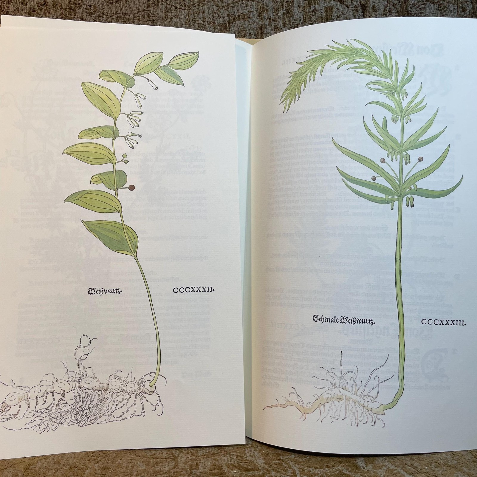 New Kreuterbuch Im Jar MDXLIII, Dokumentation zur Faksimileausgabe. Translated: New Herbal Book in the Year 1543, Documentation for the Facsimile Edition. — photograph 3.