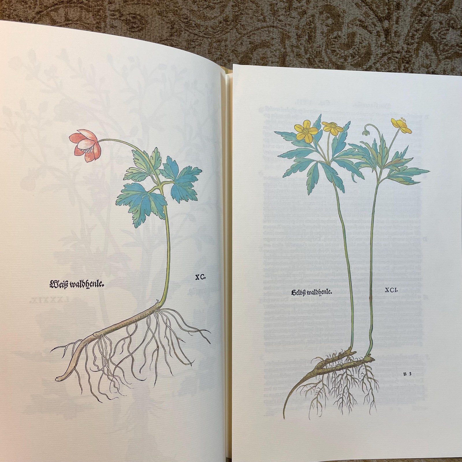 New Kreuterbuch Im Jar MDXLIII, Dokumentation zur Faksimileausgabe. Translated: New Herbal Book in the Year 1543, Documentation for the Facsimile Edition. — photograph 4.