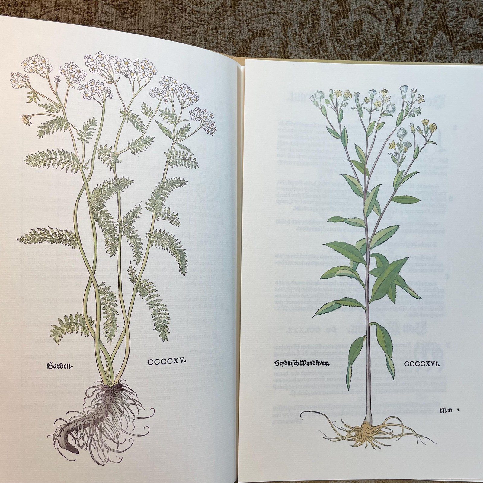 New Kreuterbuch Im Jar MDXLIII, Dokumentation zur Faksimileausgabe. Translated: New Herbal Book in the Year 1543, Documentation for the Facsimile Edition. — photograph 5.