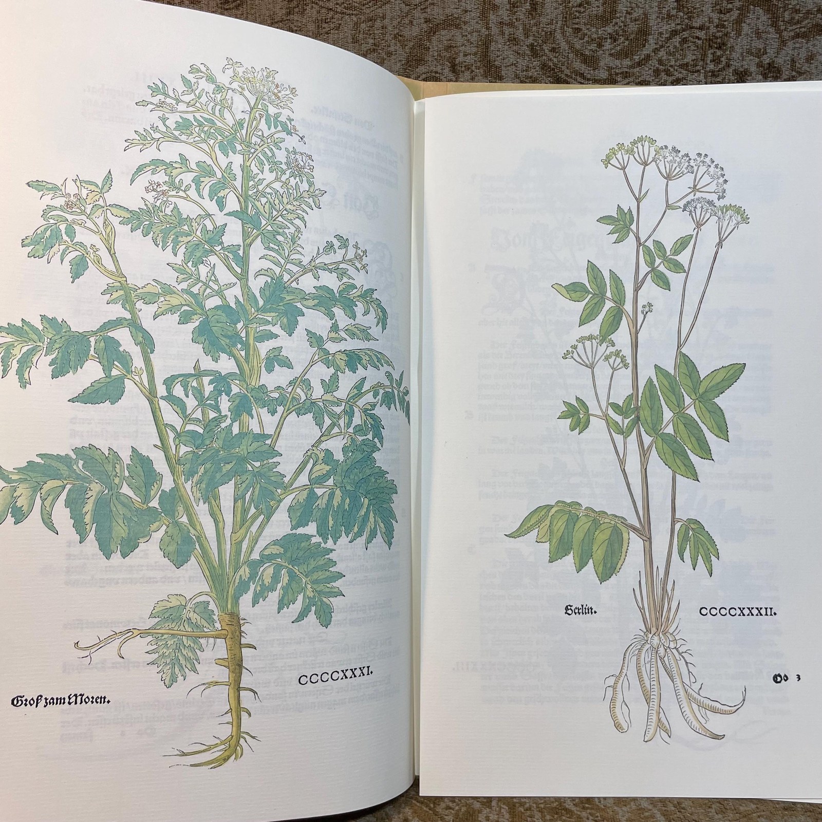New Kreuterbuch Im Jar MDXLIII, Dokumentation zur Faksimileausgabe. Translated: New Herbal Book in the Year 1543, Documentation for the Facsimile Edition. — photograph 6.